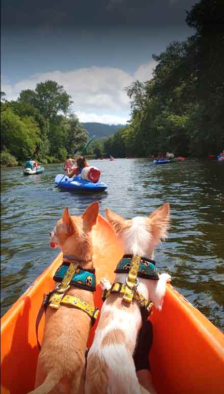 descenso rio sella kayak
